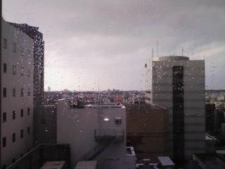 101005-1548雨上がりそう.jpg